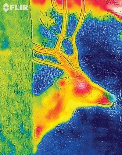 iphone-5-este-dotat-cu-o-camera-cu-infrarosu