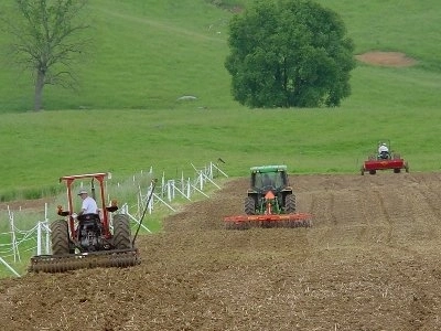 la-directia-agricola-brasov-se-cauta-director-executiv
