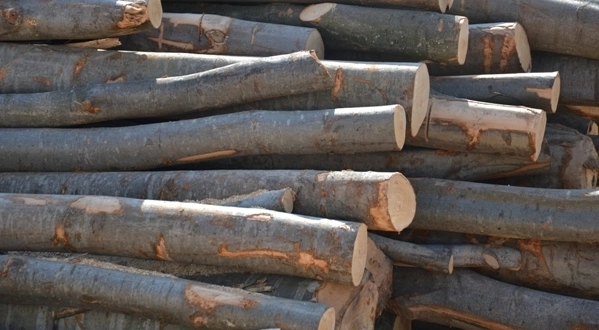 lemn-fara-acte-confiscat-in-tara-fagarasului