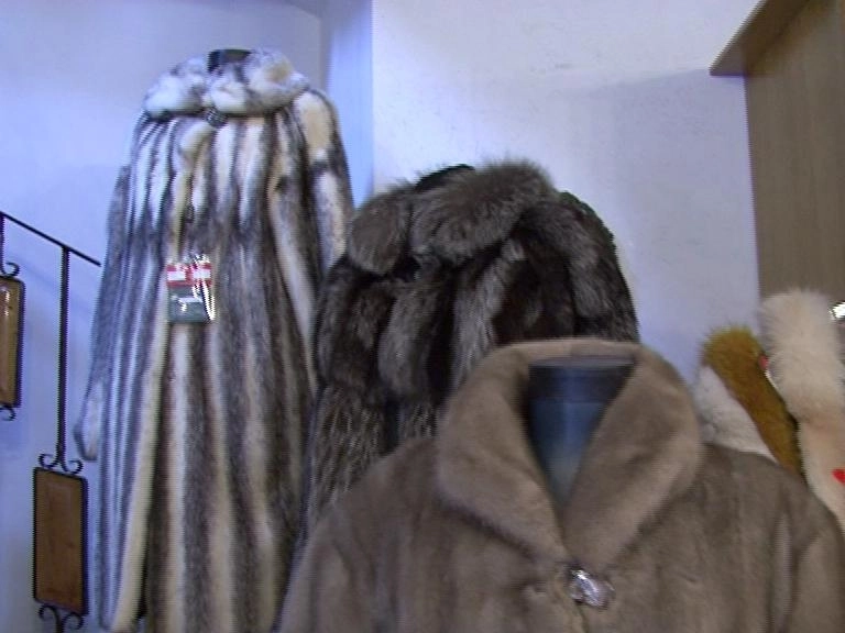 lux-olandezii-2-fermen-de-nurci-in-judetul-brasov