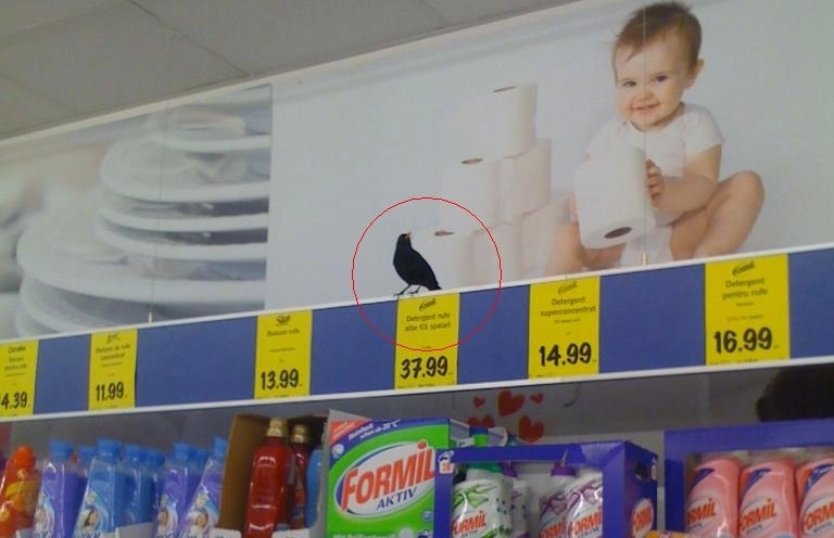 marfa-vie-imagini-inedite-dintrun-supermarket-din-brasov-galerie-foto