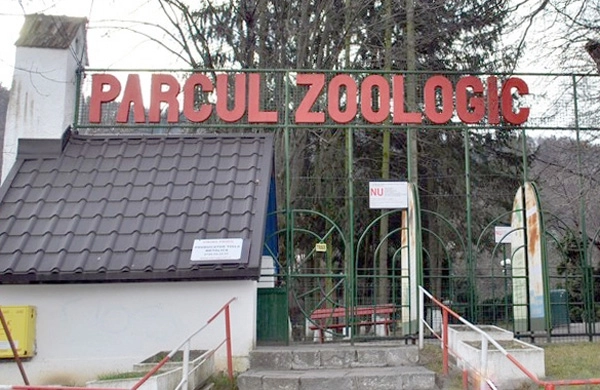 ministerul-mediului-a-dat-in-sfarsit-banii-pentru-zoo-brasov
