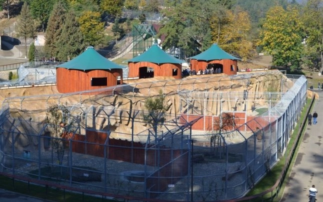 numar-record-de-vizitatori-la-zoo-brasov