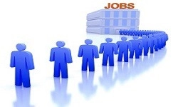 o-firma-de-logistica-din-anglia-cauta-muncitori-la-brasov