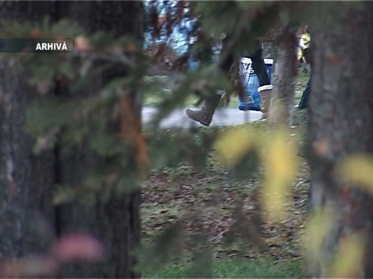 portretul-robot-al-violatorului-din-parcul-tractorul