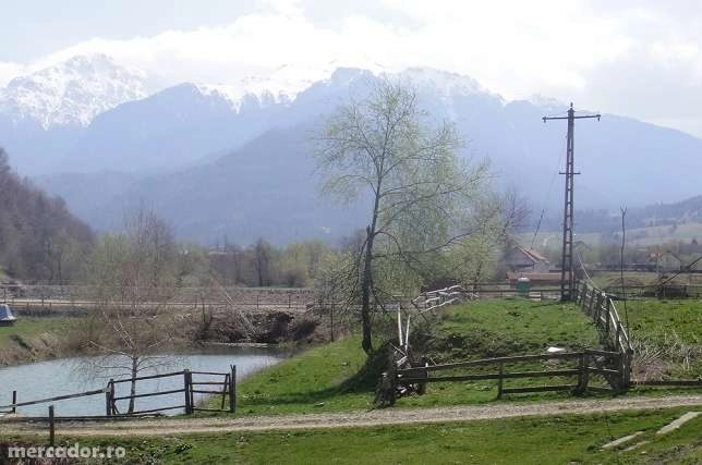 proiect-de-mediu-la-rasnov