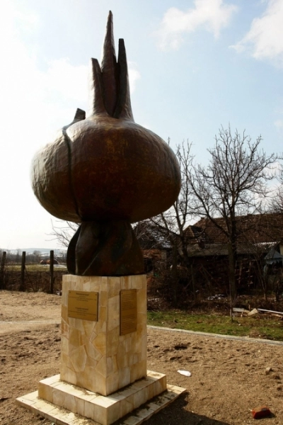 salajul-ceapa-si-cartea-recordurilor