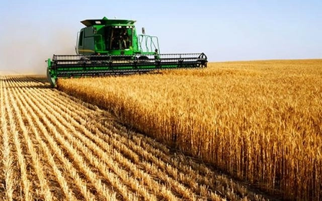 scade-pretul-graului