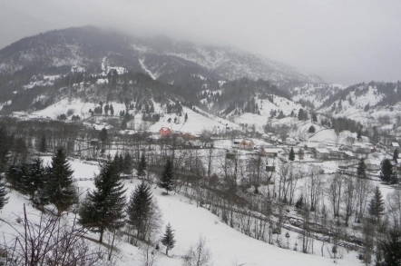 se-intorc-ninsorile-pana-miercuri