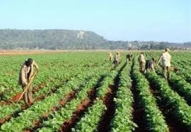 se-schimba-legea-zilierilor-