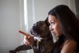 spectacol-de-teatru-si-pentru-catei