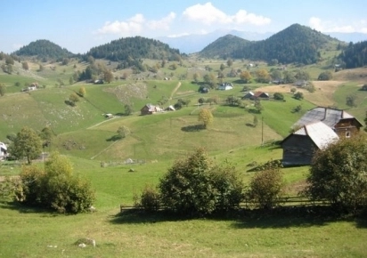 targul-de-turism-rural-sarbatoarea-pensiunilor-sarbatoarea-margaretelor
