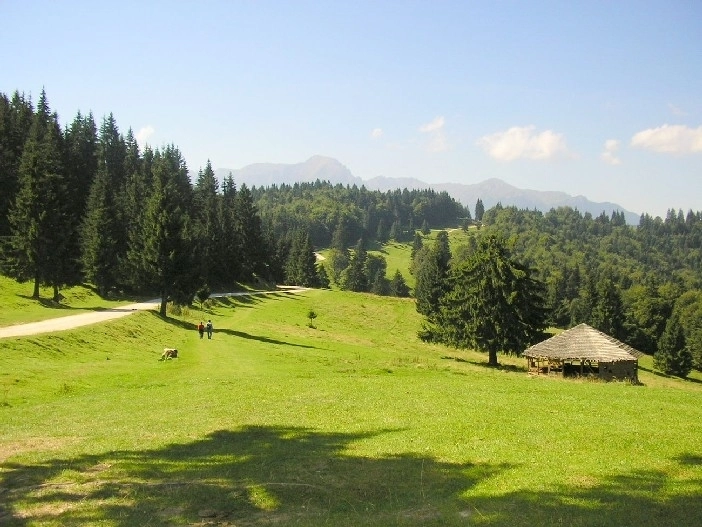 terenuri-scoase-la-licitatie-in-predeal