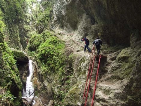 tiroliana-din-canionul-7-scari-va-fi-functionala-dupa-15-august