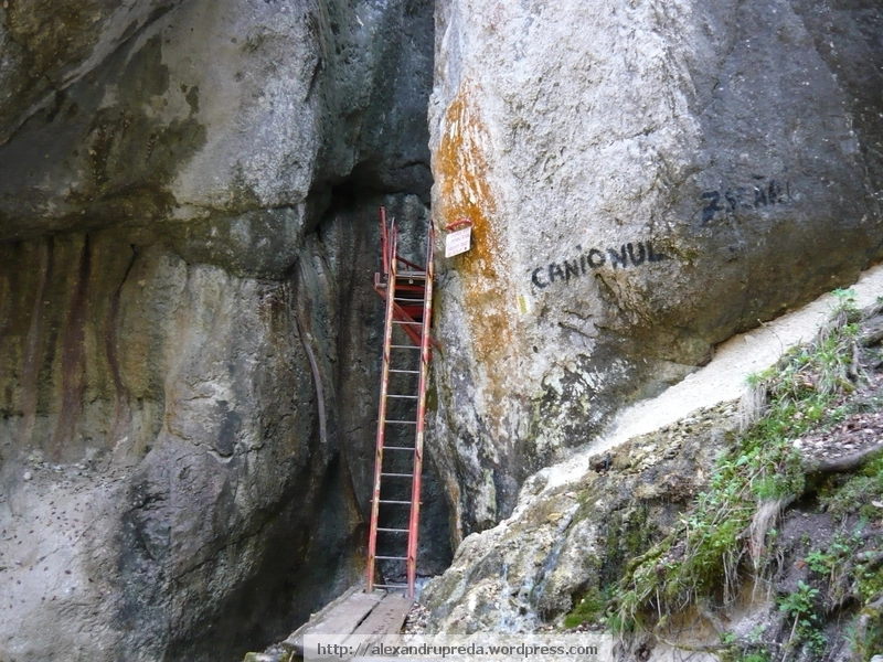 tiroliana-la-sapte-scari