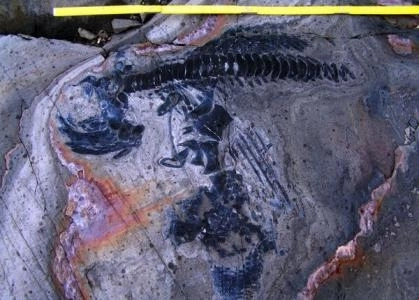 topirea-ghetarilor-apar-fosile-de-reptile-preistorice