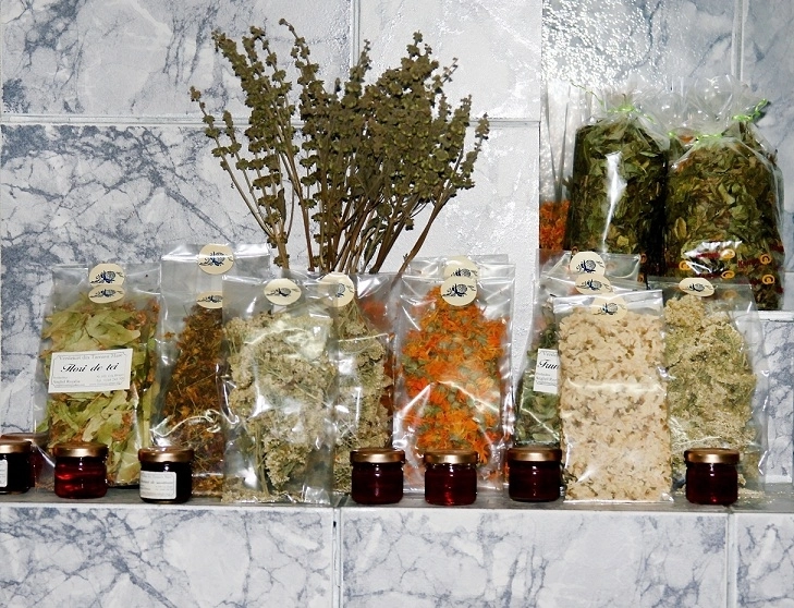 traditii-brasovene-dictionar-de-plante-de-leac