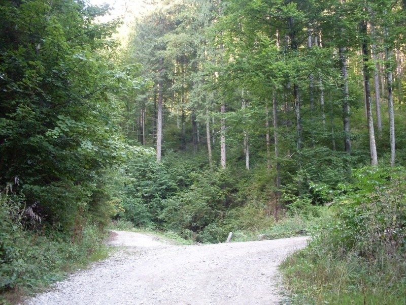 ultima-ora-tragedia-la-budila