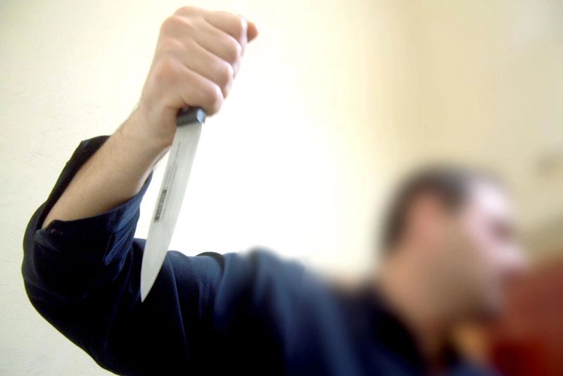 vulcan-injunghiat-mortal-de-musafirul-vecinului