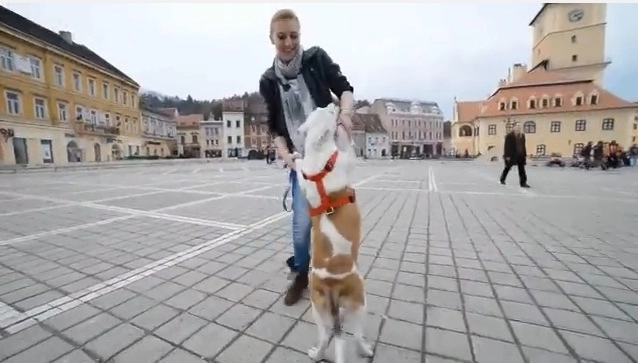 we-are-happy-in-brasov-video
