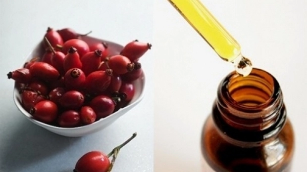 beneficii-ale-uleiului-esential-de-macese