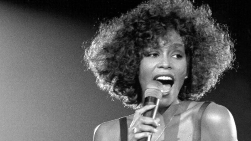 concerte-whitney-houston-cu-ajutorul-hologramelor
