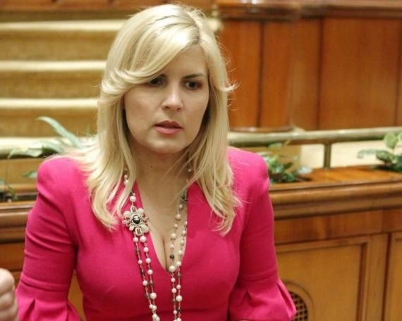 elena-udrea-un-nou-mesaj-pe-facebook-din-arest-sunt-tocata-sistematic