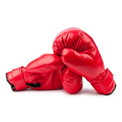 incredibil-boxerii-merg-la-europene-2000-de-kilometri-cu-autocarul-