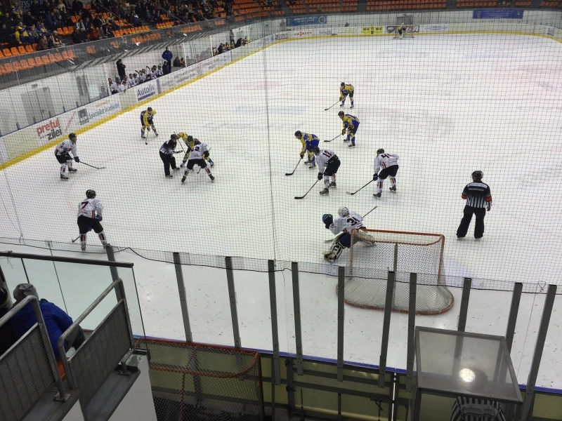 lupii-au-muscat-steaua