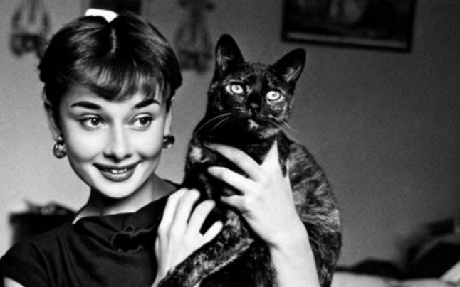 o-colectie-de-fotografii-rare-cu-audrey-hepbun-va-fi-expusa-la-londra