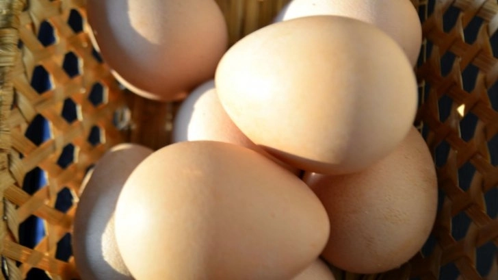 ouale-de-gainasursa-ta-zilnica-de-energie