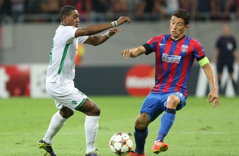 prepelita-e-coleg-cu-moti