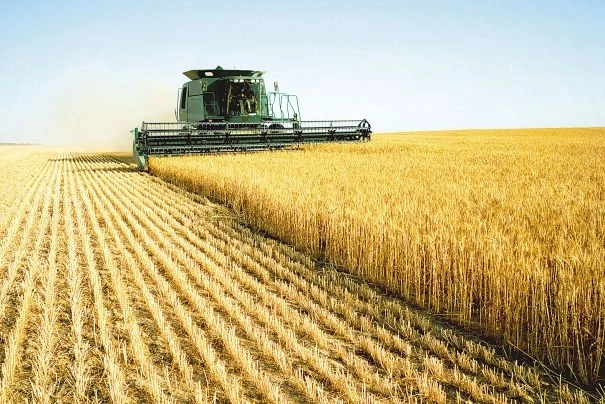 romania-pe-primul-loc-in-cazul-pierderilor-din-agricultura