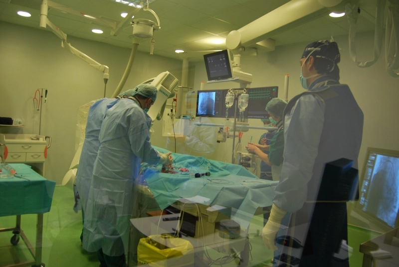 sfatul-cardiologului-obiceiurile-alimentare-si-sanatatea-inimii