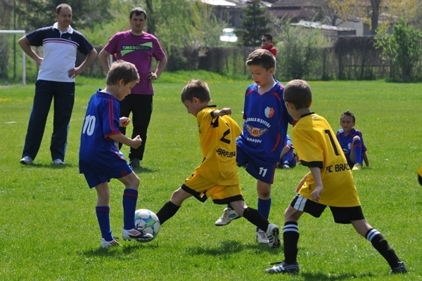 stelutele-au-aprins-vise-la-tarlungeni