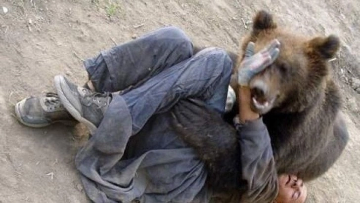 vanator-atacat-de-urs-intro-padure-dintre-predeal-si-azuga