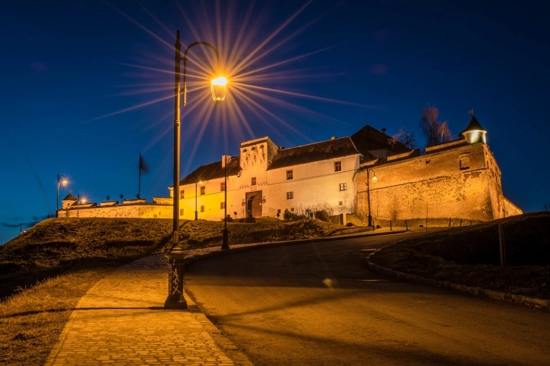 vezi-brasovul-tau-dan-musca-galerie-foto