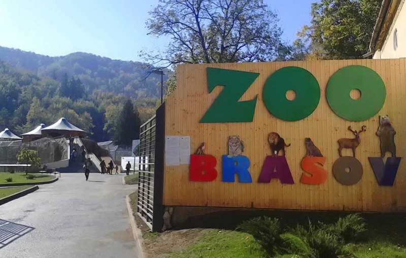 zoo-noua-cand-se-deschide-corpul-destinat-reptilelor-si-pasarilor-exotice-