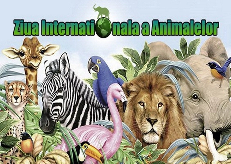 4-octombrie-ziua-internationala-a-animalelor