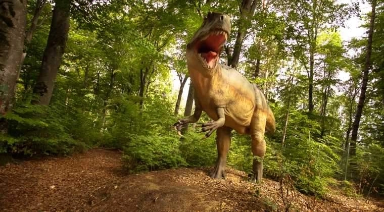 actiune-de-ecologizare-in-weekend-la-rasnov-