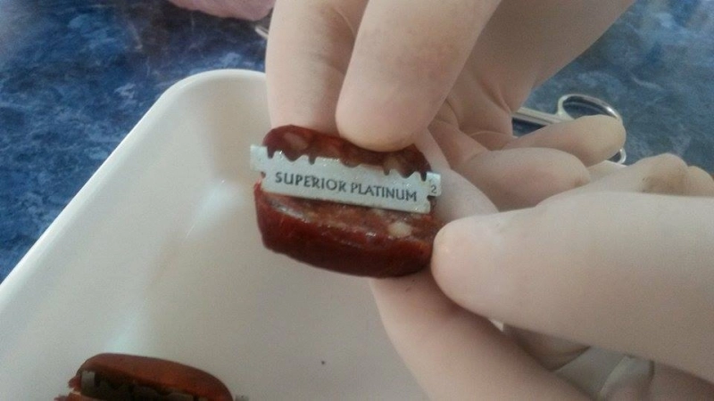 ancheta-in-cazul-carnatilor-cu-lame-continua