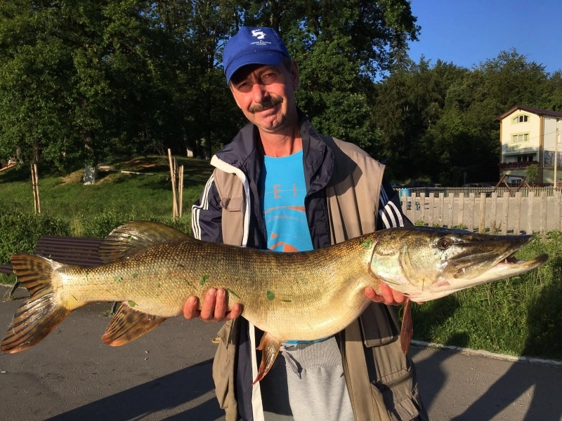 brasov-captura-incredibila-in-lacul-de-la-noua-galerie-foto