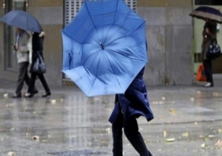 cod-galben-de-vant-si-ploi-in-brasov