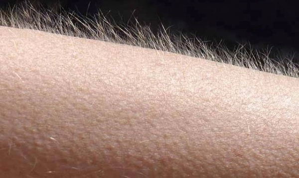 de-ce-avem-piele-de-gaina-atunci-cand-ascultam-o-anumita-melodie