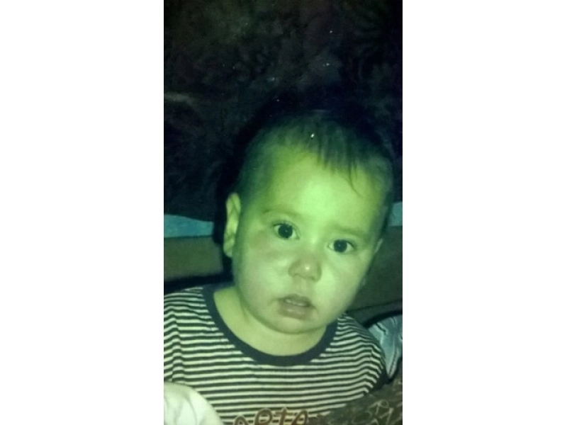 disparitie-fetita-in-varsta-de-4-ani-din-brasov-cautata-de-zeci-de-politisti-jandarmi-si-caini-specializati