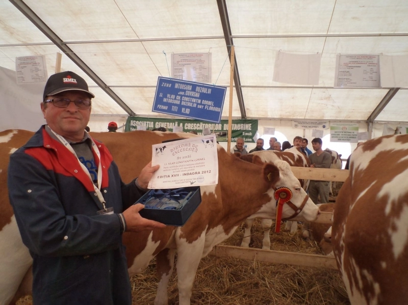 fermierii-romani-se-plang-ca-au-ajuns-bataia-de-joc-a-autoritatilor