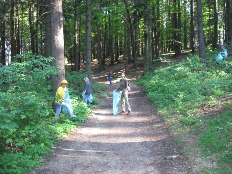 groapa-de-gunoi-in-padurile-din-poiana-brasov