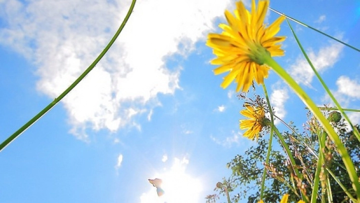 inceput-de-saptamana-cu-vreme-calda