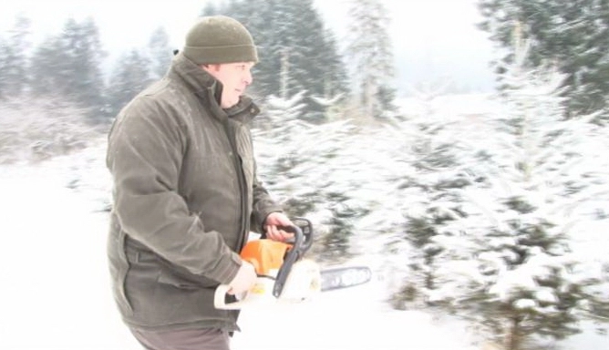 iti-poti-alege-bradul-din-padure-si-til-taie-padurarii-de-la-kronstadt