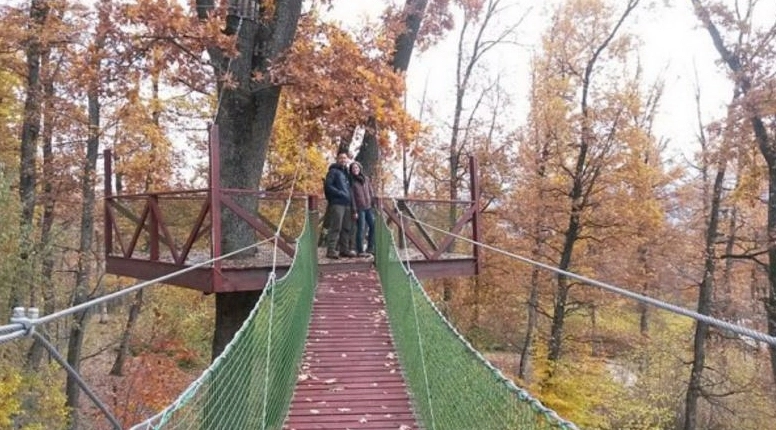 luna-de-miere-la-sanctuarul-de-ursi-de-la-zarnesti